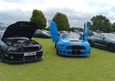 Charity Car Show Biggleswade Photo